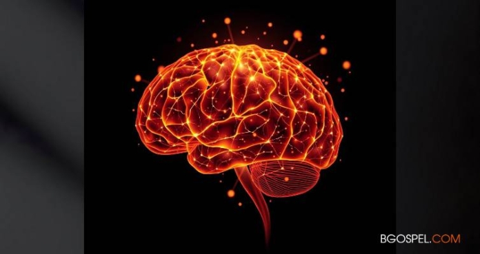 Los increíbles descubrimientos de la neurociencia